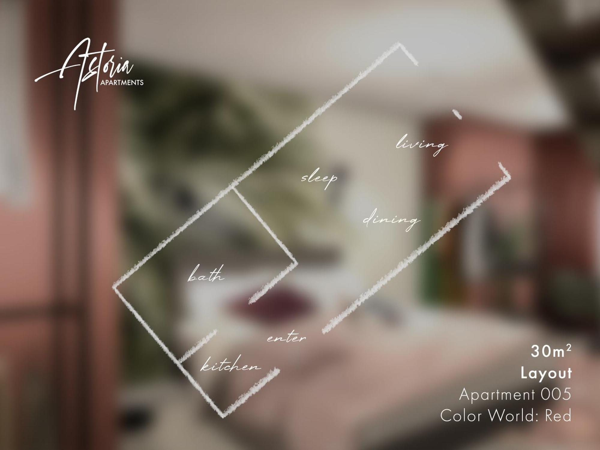 Astoria Apartments ニュルンベルク 部屋 写真